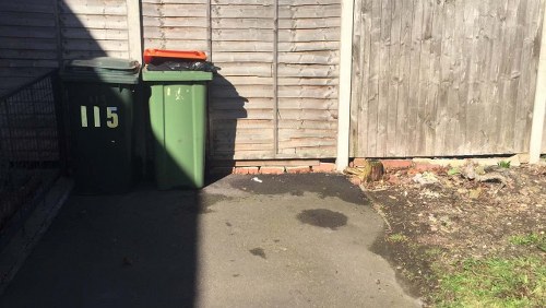 Community members engaging in waste segregation in Catford